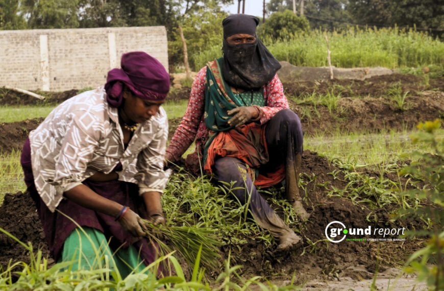 Women working in paddy fields in village Mughaliya Chhap of Bhopal district | Photo by Rajeev Tyagi