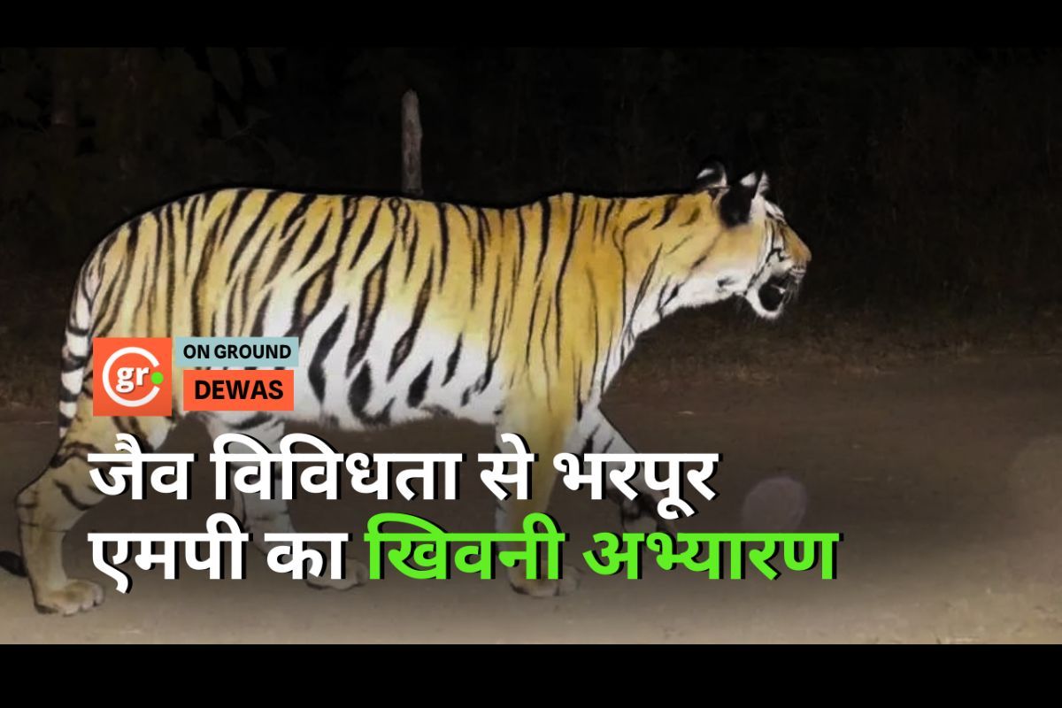 Biodiverse Kheoni wildlife sanctuary of Madhya Pradesh
