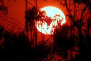 Australia has already warmed by more than 1.5 degrees