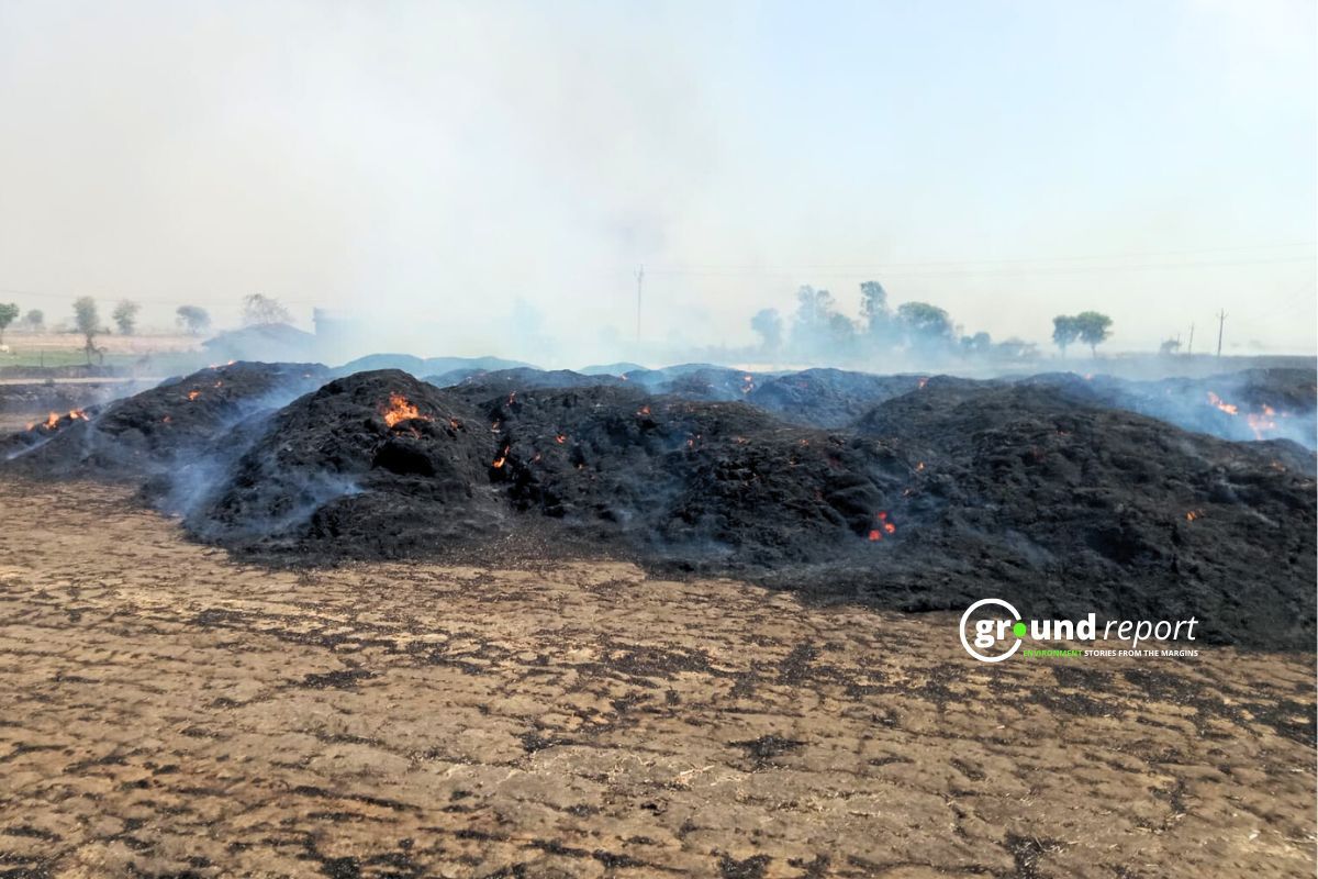 Farm Fire Incident in Sehore Madhya Pradesh