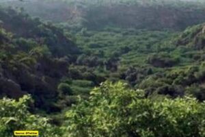 Big win for Hasdeo Bachao Andolan, Project on hold