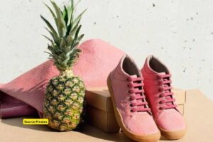 Story of Piñatex: The ‘vegan’ leather