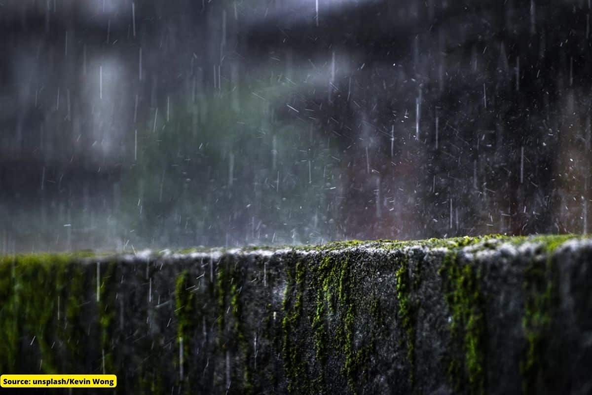 Rainfall predicted in several states/UTs today; IMD releases list