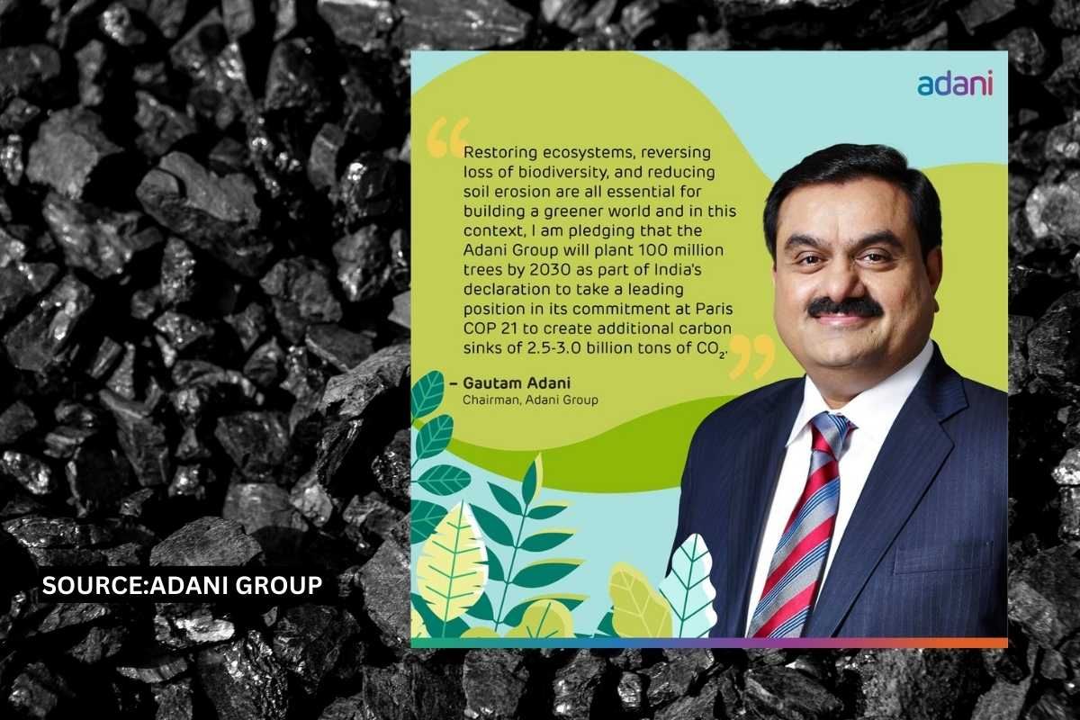 Adani Group's 100 million tree plantation being accused of greenwashing