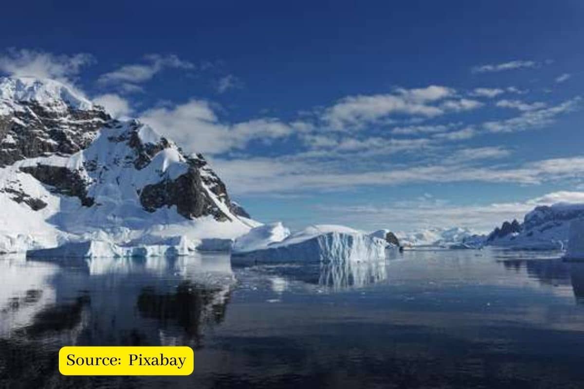 Chemicals in Arctic ice threaten wildlife