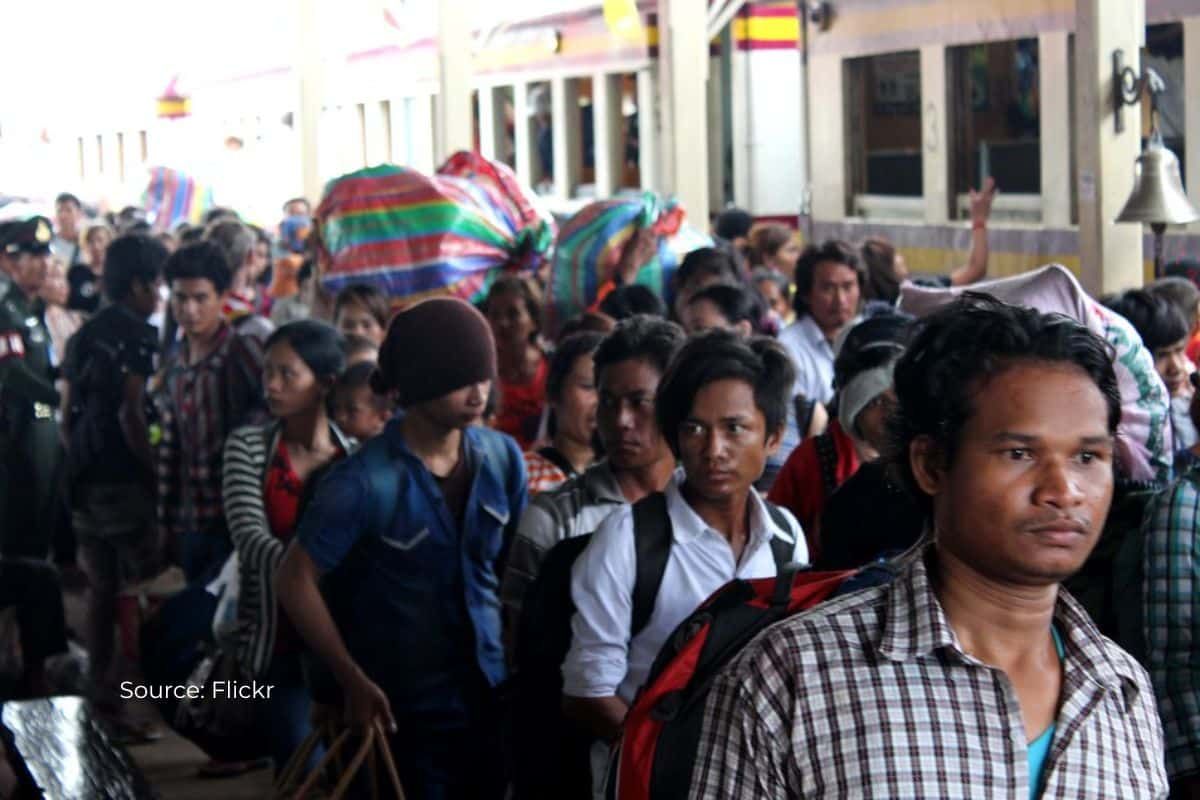 Short-distance migration is crucial in climate adaptation