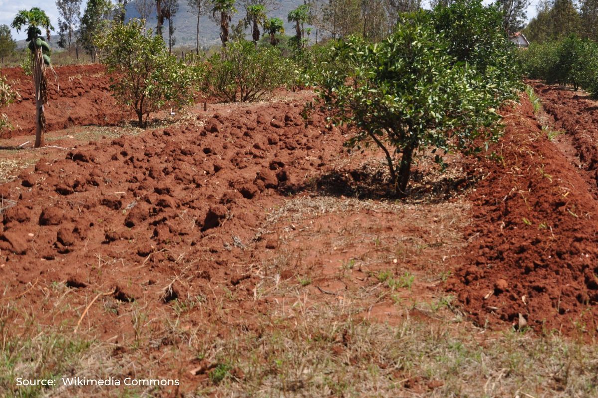 Climate smart agriculture practice in India and its examples