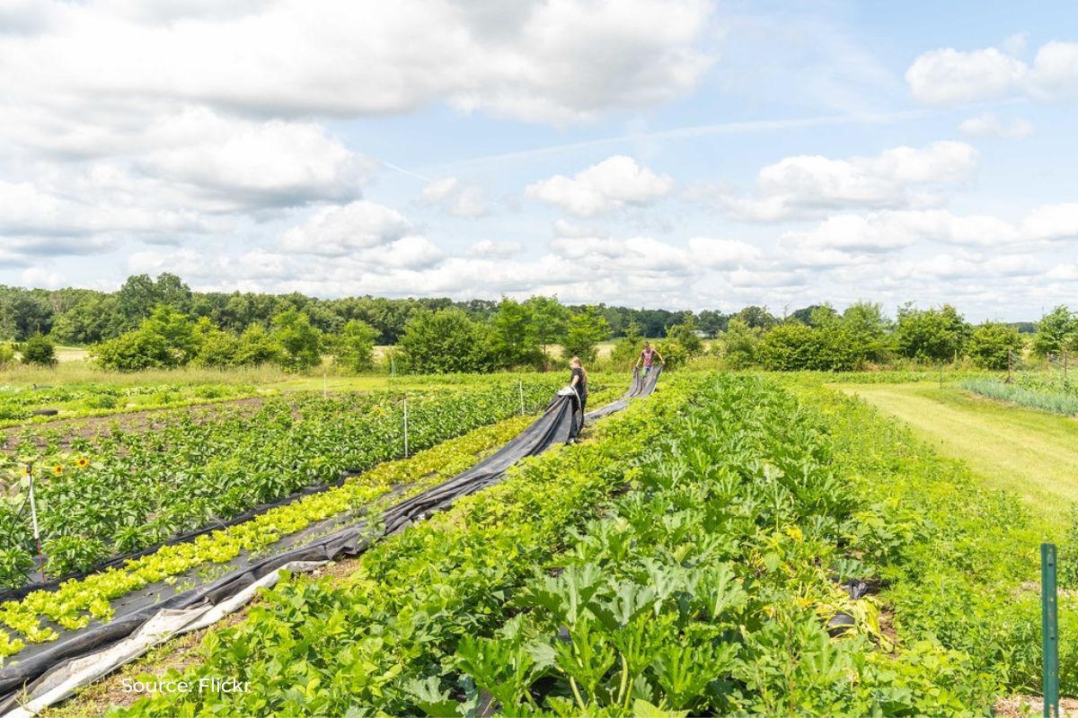 Know about Regenerative Agriculture practice in India