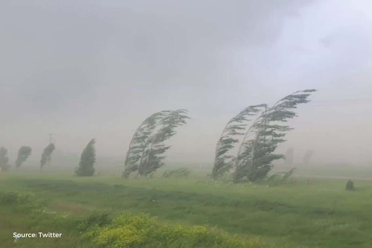 Heavy rain & storm wreaked havoc in west and central Rajasthan