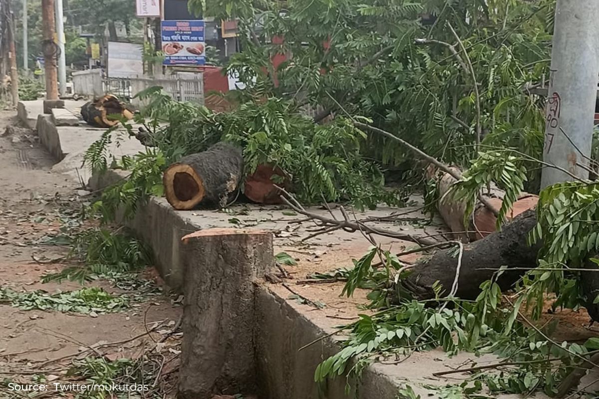 Guwahati: Narakasur hill tree felling controversy explained