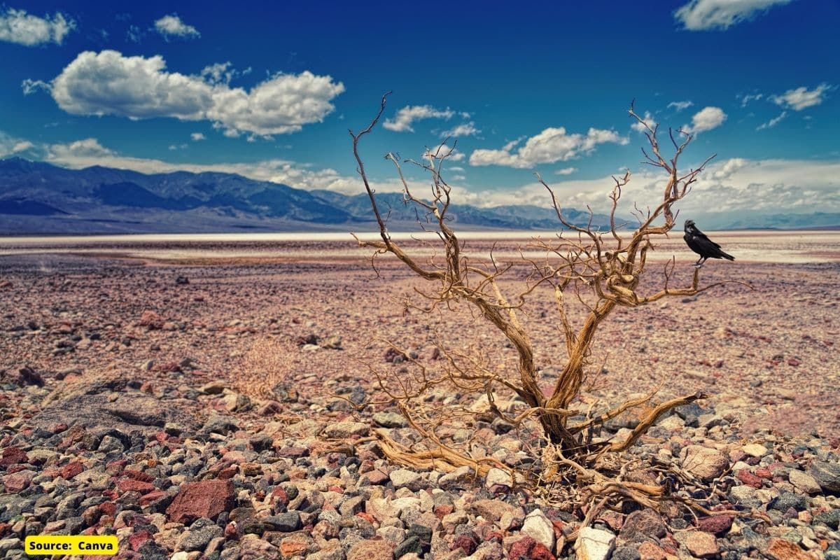 Which are the Indian States that Face the Most Drought?