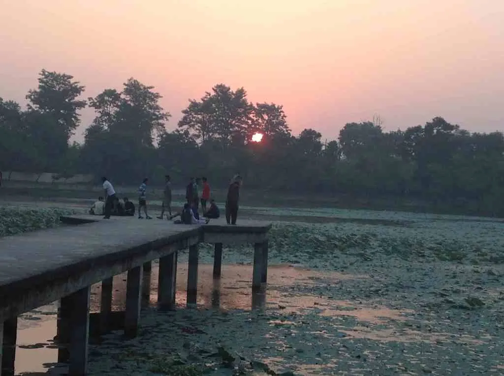 It is the picture of the lotus-covered Drona Sagar lake early in the morning