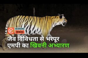 Biodiverse Kheoni wildlife sanctuary of Madhya Pradesh