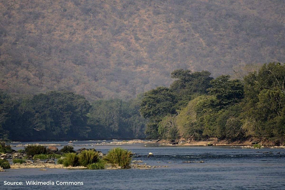 33 dyeing factories shut to combat pollution in the Kaveri river