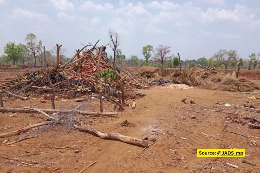 forest cutting in burhanpur