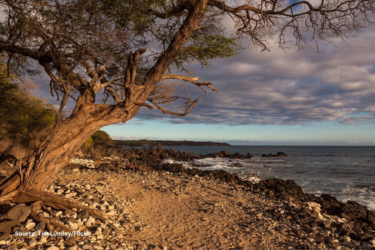 Explained: What is a Rain Shadow, and Why is it important?