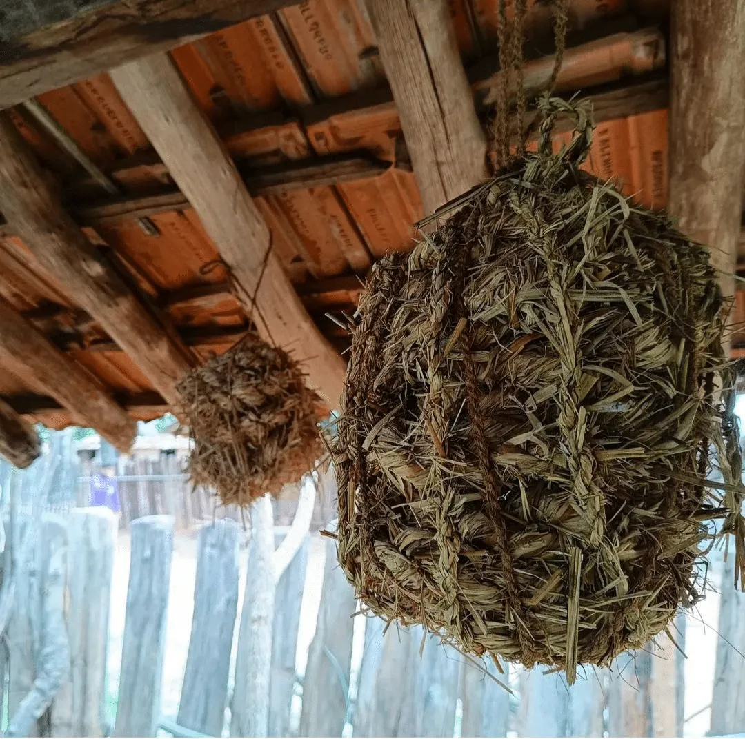 A commemorative storage of seed grains in the community centre which distributed amongst members of the village as a token of luck during the Vijja pandum, a festival to celebrate the sowing season and the advent of monsoon