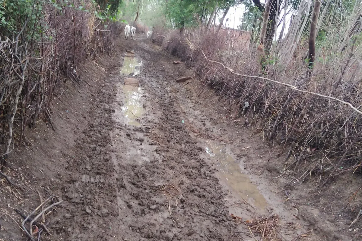 शिवपुर पुराना खेड़ा