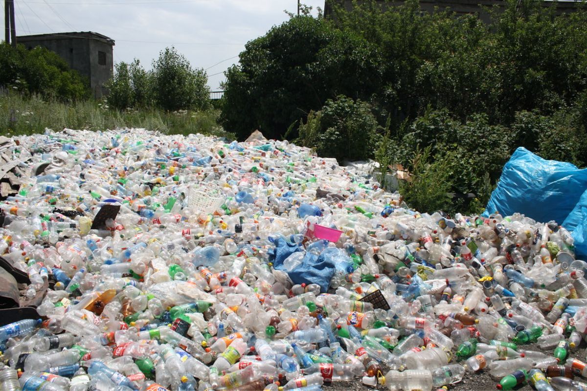 chemicals in recycled plastic