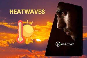 Dangerous heatwaves trends exposed in India’s biggest cities: CSE