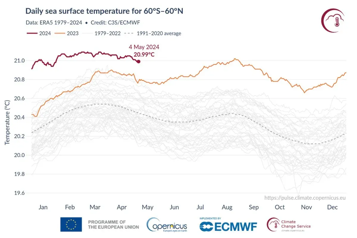 Daily sea surface temperature