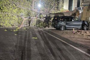 Delhi dust storm turns deadly, Two killed and dozens injured