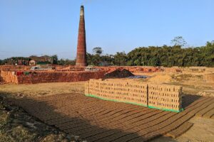 NGT orders probe into illegal brick kilns in Mathura District