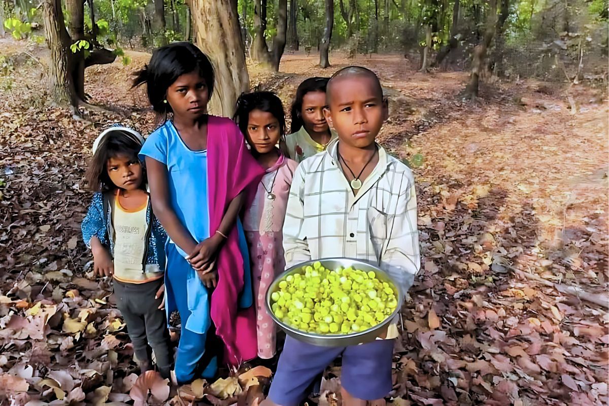Tribals in MP Hit as Hailstorms, Rains Damage Tendu Leaves and Mahua