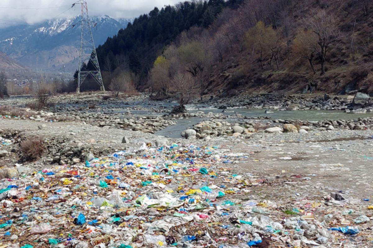 From tourist paradise to waste wasteland: Sindh River Cry for help