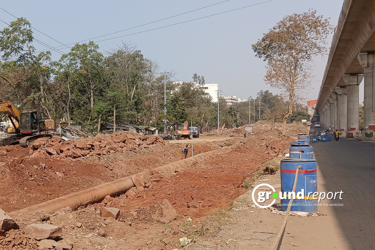 Bhopal Tree Cutting: माननीयों के आवास के लिए कटेंगे 29 हज़ार पेड़