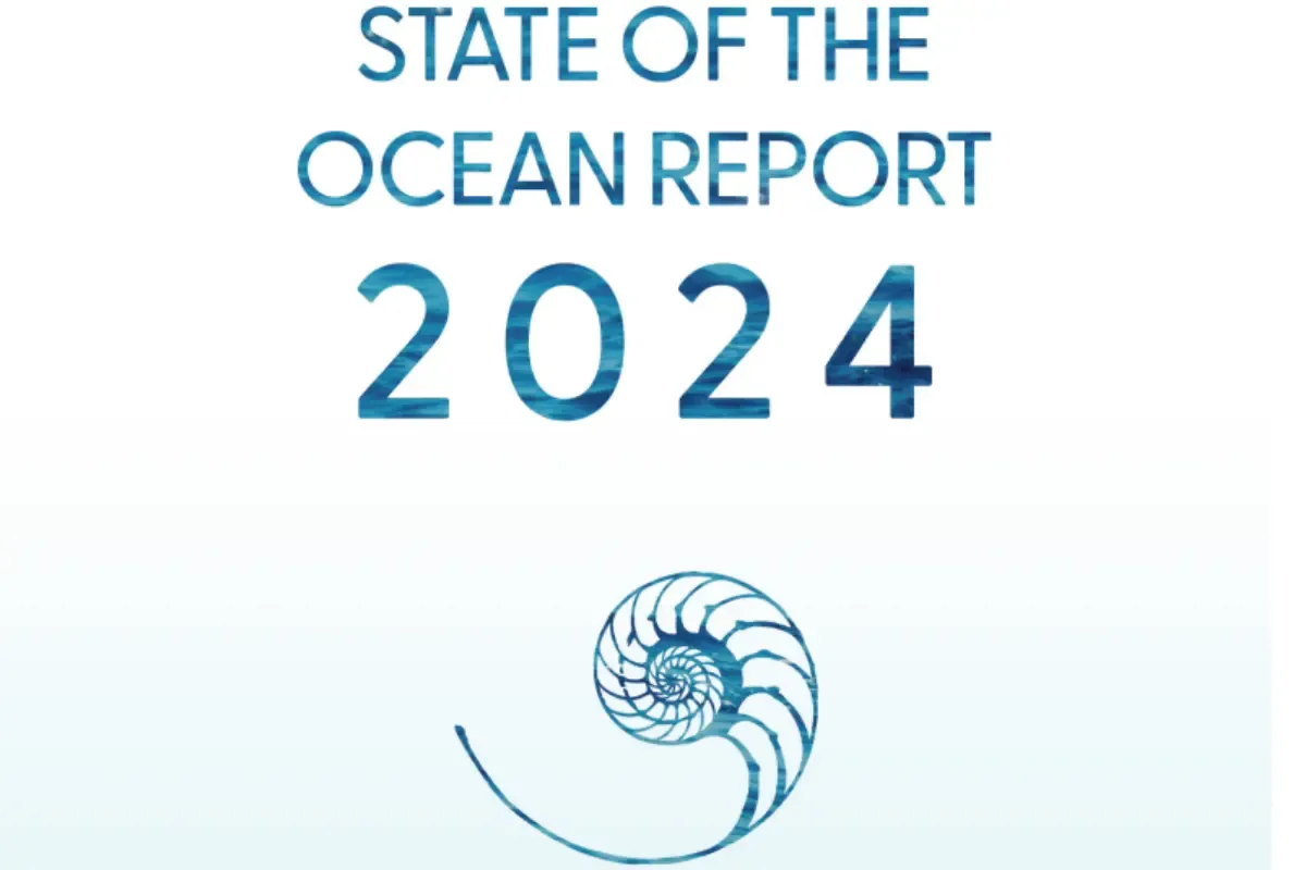 State of the Ocean Report 2024: 20 सालों में दोगुने गर्म हुए महासागर