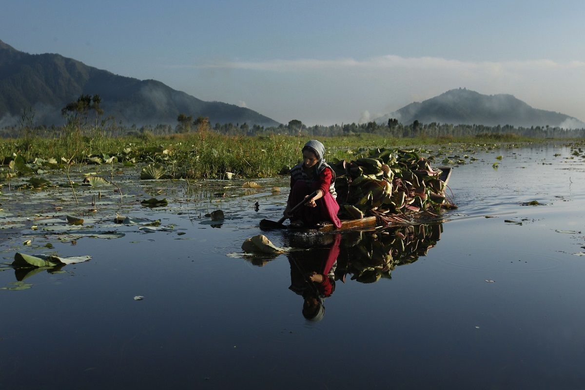 famous Hokersar wetland