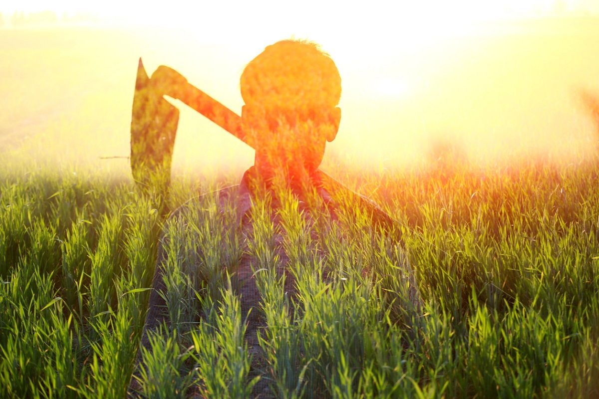 Regenerative Agriculture: Ensuring a Sustainable Future for Our Planet