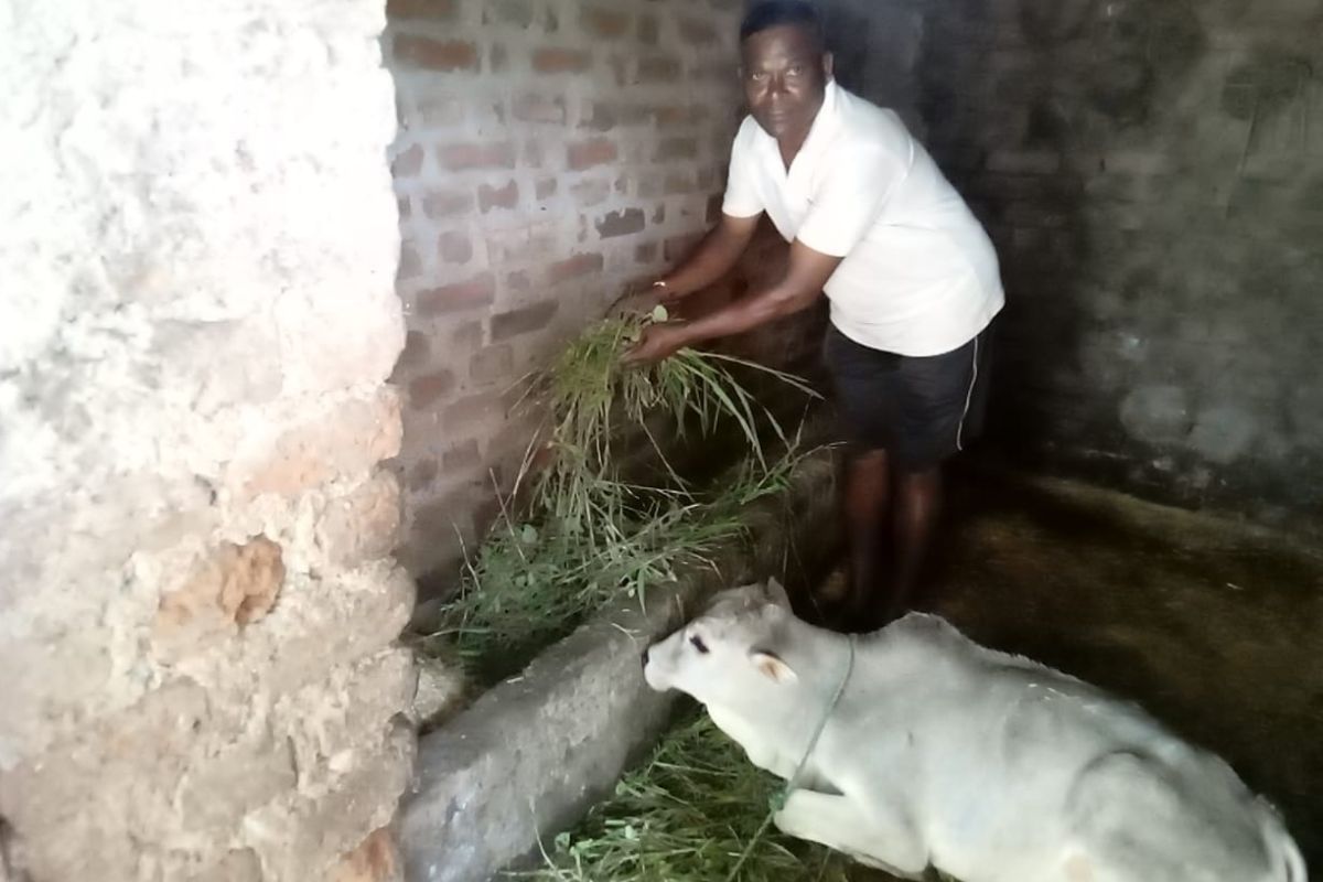 pashu sakhi mandla