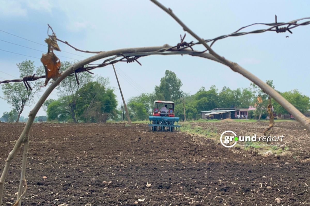 Agriculture Grows 4.6 per cent But Crops Fall Behind: Economic Survey 2025