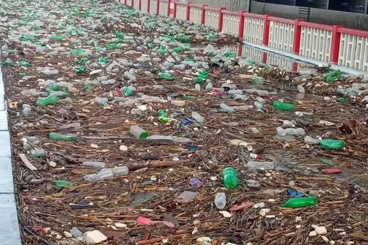 India Treats Only 28% of Its 112 Billion Litres of Daily Wastewater: Economic Survey