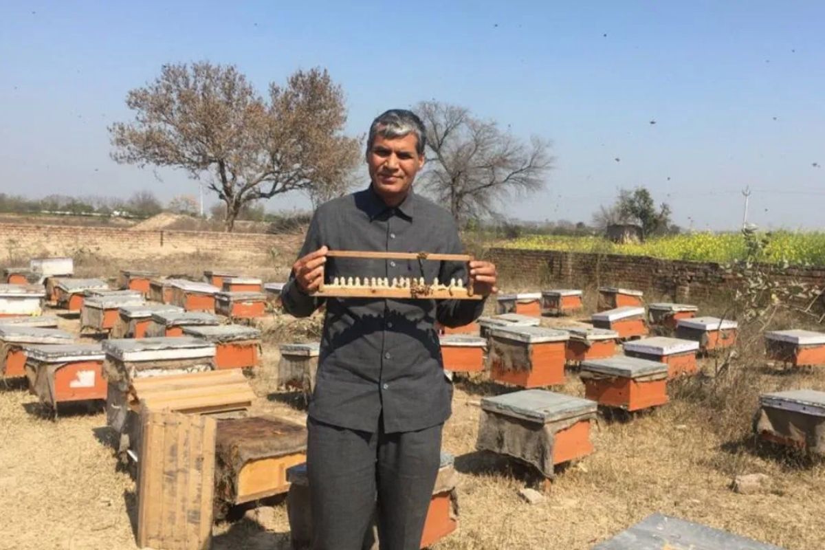 Who is Jagpal Singh Phogat revitalising environmental conservation across India?