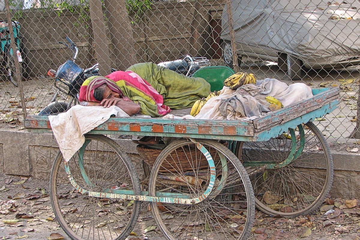 733 cases of heatwave death reported in India, Govt claims only 360