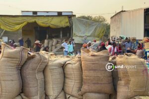Madhya Pradesh registers highest soybean output as per estimates
