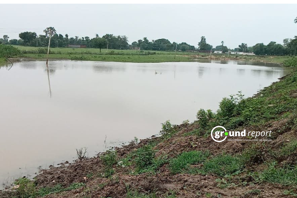 Jal Sahelis revives a pond