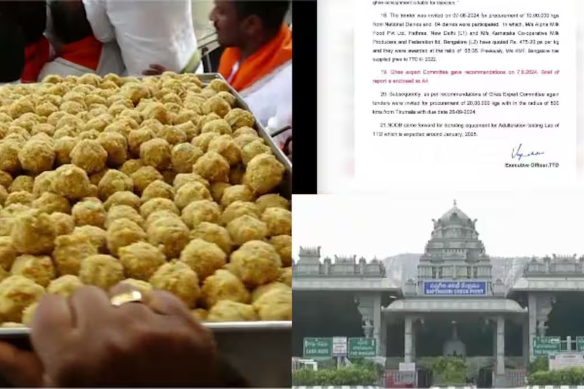 Lab report of Tirupati Laddu going viral is of rejected ghee