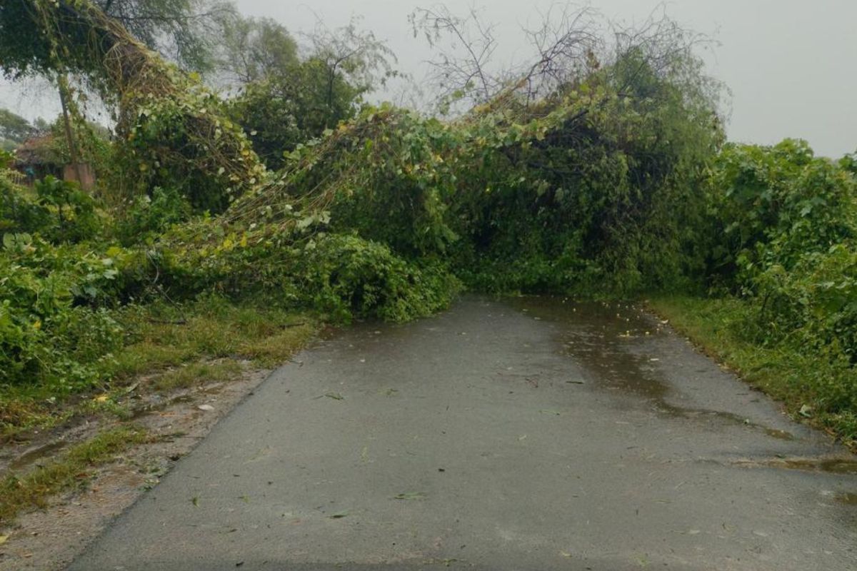 How Geography Protected Odisha from Cyclone Dana