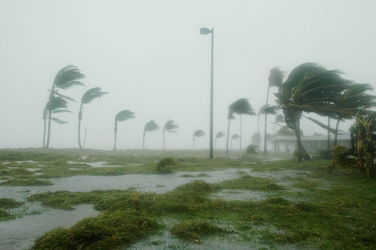 Cyclonic Storm "DANA" Approaches with Heavy Rainfall and Wind Warnings