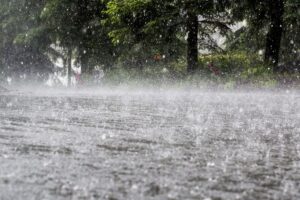 IMD predicts heavy rains in East and South India