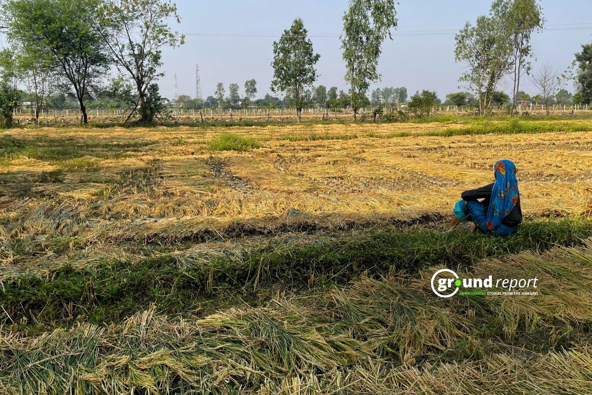 Women Labor's problems in India