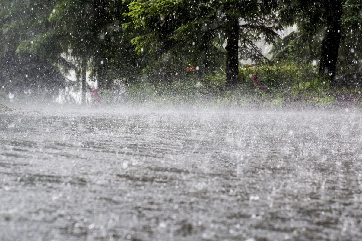 Chennai schools close as heavy rains continue, more expected