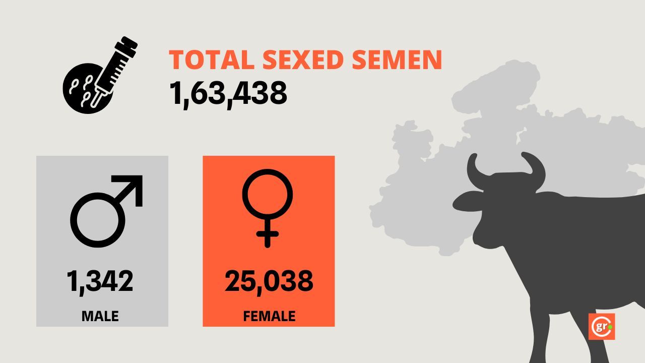 Madhya Pradesh Sorted Sex Semen Data