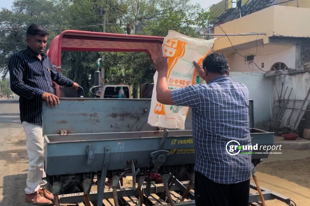 Farmer preparing for sowing of wheat in their farmland