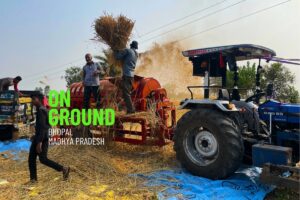 Paddy farmers struggle with low basmati prices in Madhya Pradesh