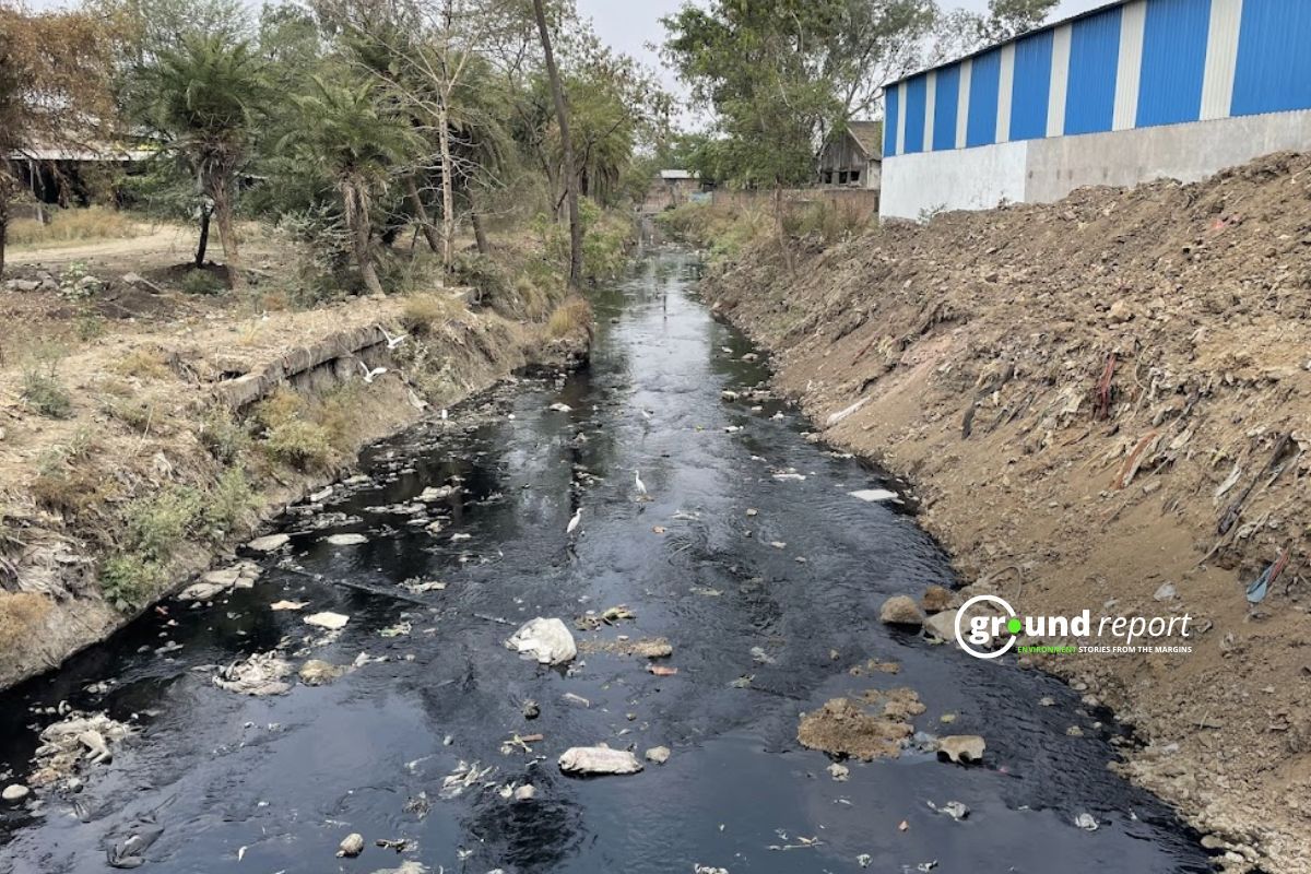 Sewage near Indore's industrial area